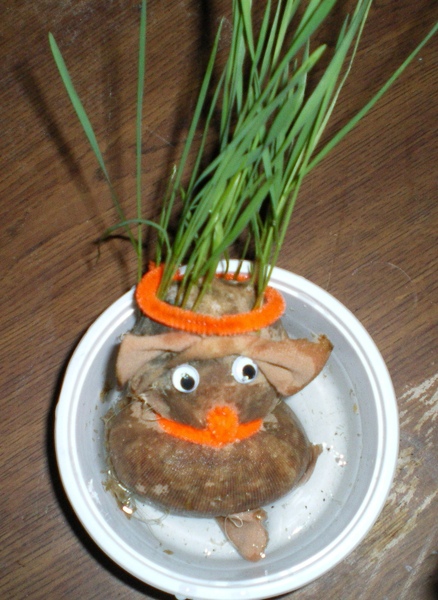 魔髮稻草人(後) 魔髮稻草人(後)