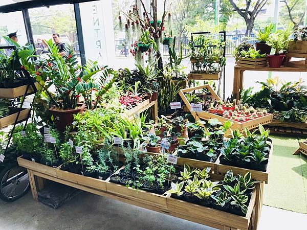 S__98377742.jpg S__98377742.jpg