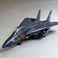 F-14A_RAZ_002.jpg