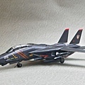 F-14A_RAZ_010.jpg