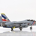 F-14D_005.jpg