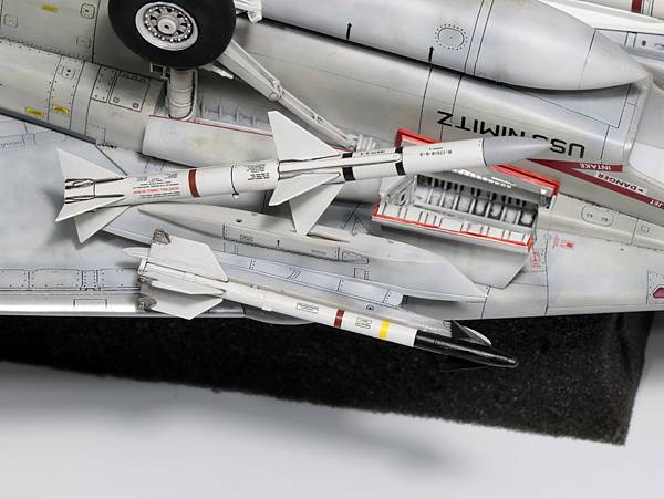 Tamiya-F-14A_012_02.jpg