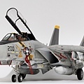 Tamiya-F-14A_001.jpg