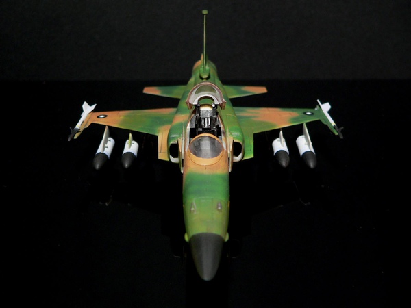 F-20 Haswgawa 1-72 東南亞迷彩-008.jpg