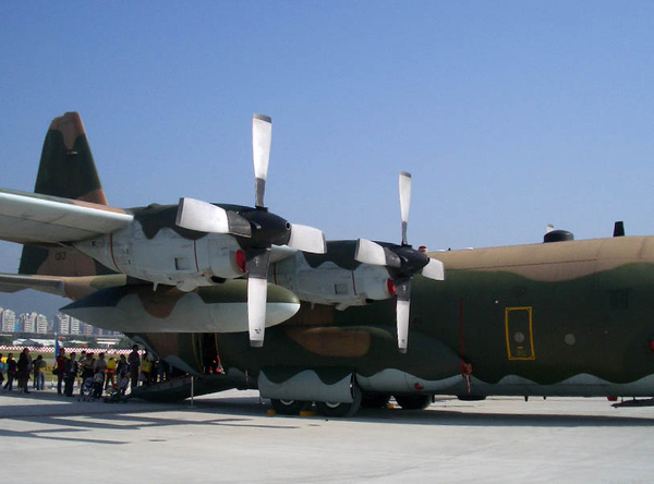 C-130-04.jpg