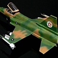 F-20 Haswgawa 1-72 東南亞迷彩-003.jpg
