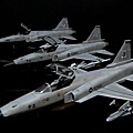 F-20 Hasegawa 1-72 ROCAF -003.jpg