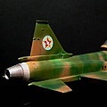 F-20 Haswgawa 1-72 東南亞迷彩-006.jpg