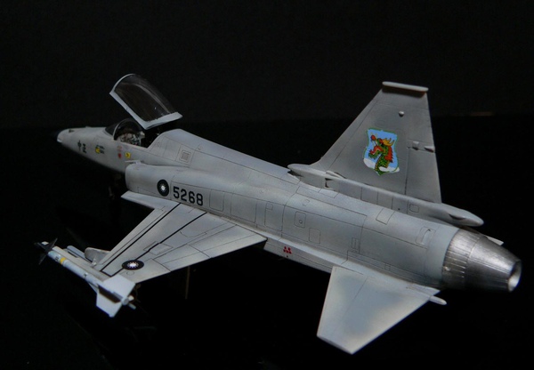 F-20 Hasegawa 1-72 ROCAF -010.jpg