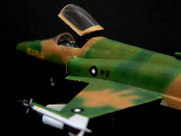 F-20 Haswgawa 1-72 東南亞迷彩-005.jpg