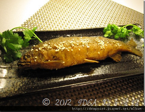 IMG_2877 IMG_2877