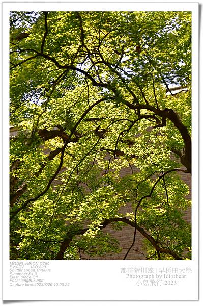 [ 日本 ] 省錢輕鬆的城市之旅。東京都電荒川線