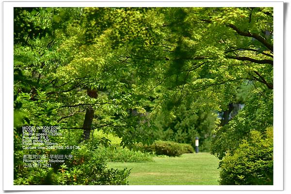 [ 日本 ] 省錢輕鬆的城市之旅。東京都電荒川線