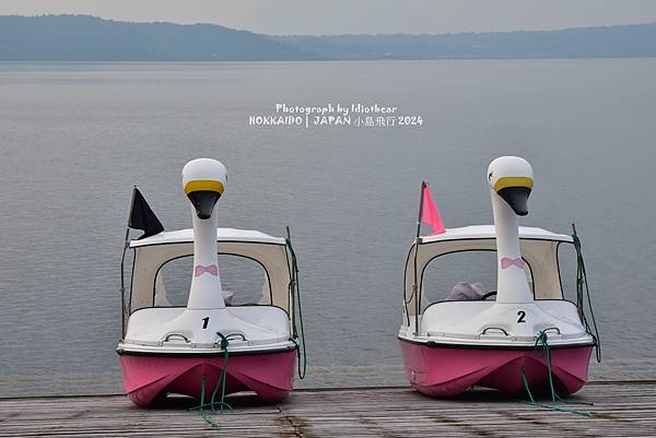 [日本] 畢業旅行。日本北海道昭和新山熊牧場、洞爺湖
