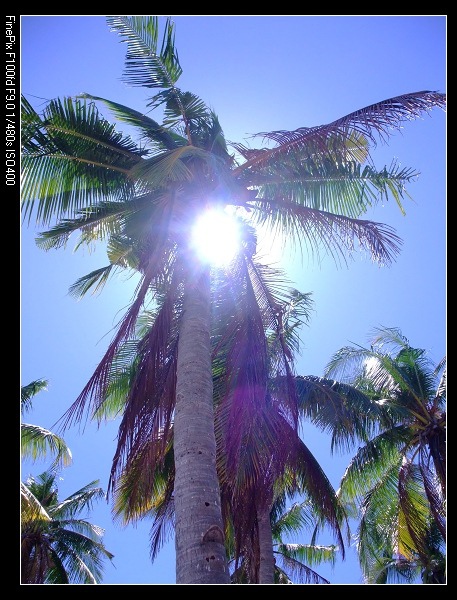 26567984:Cebu遊學紀錄 &ndash;MalapascualIsland 三天兩夜之旅(1)