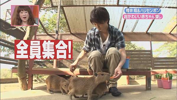 110903天才!志村どうぶつ園