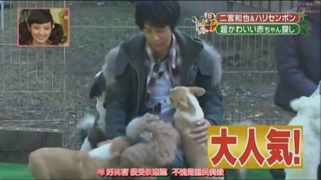 嵐 天才 志村どうぶつ園 二宮part 拾碎與向日葵 痞客邦