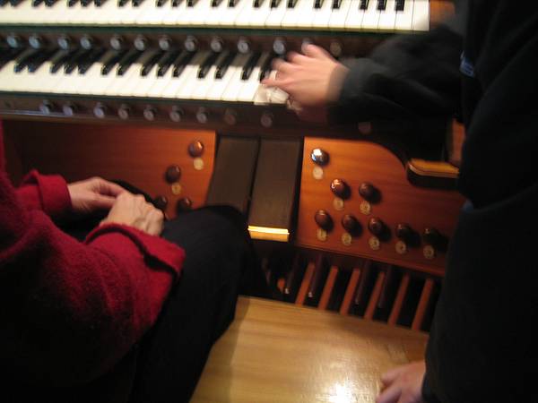 Organ in Nelson