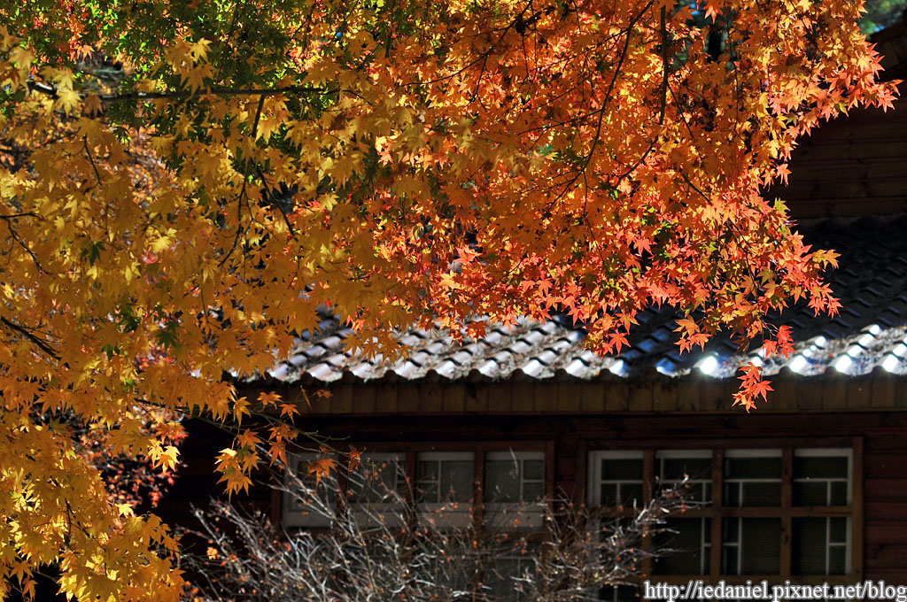潭子慈濟公園 S Blog