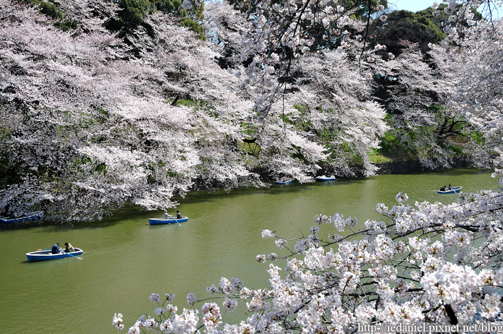 DSC_3956 DSC_3956