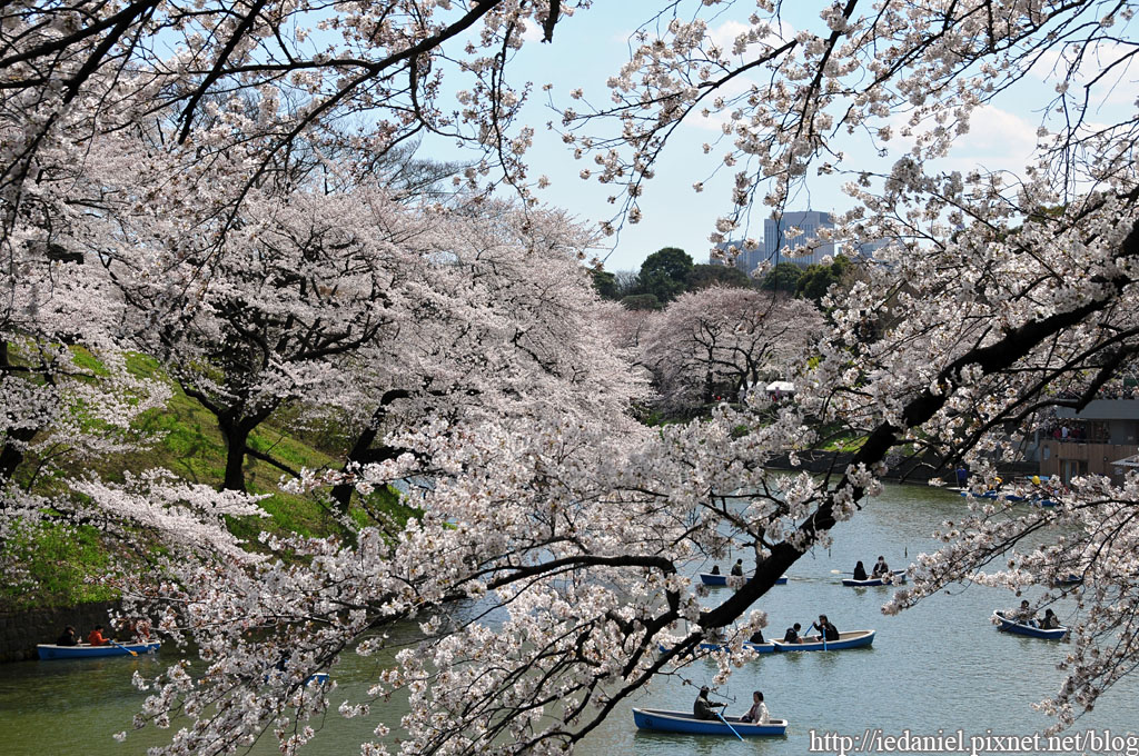 DSC_3980 DSC_3980