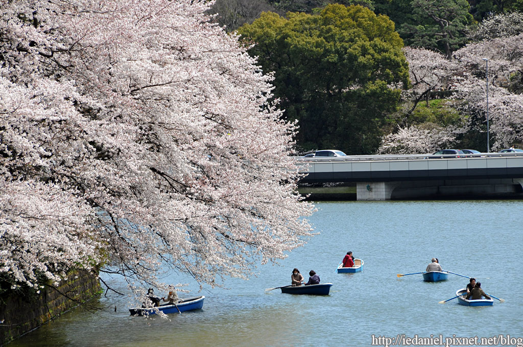 DSC_4029 DSC_4029