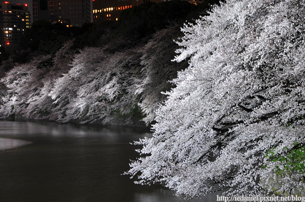 DSC_4310 DSC_4310