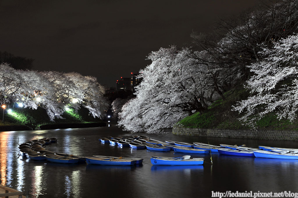 DSC_4316 DSC_4316