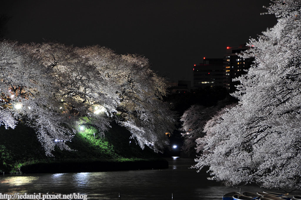 DSC_4330 DSC_4330