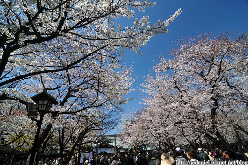 DSC_3835 DSC_3835