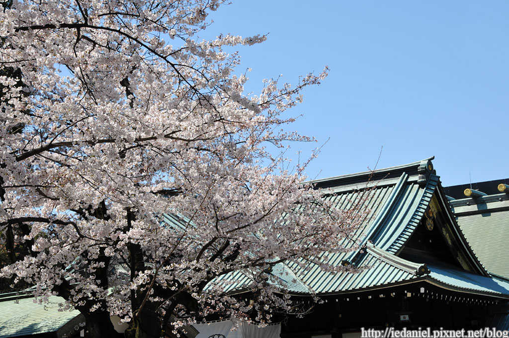 DSC_3870 DSC_3870