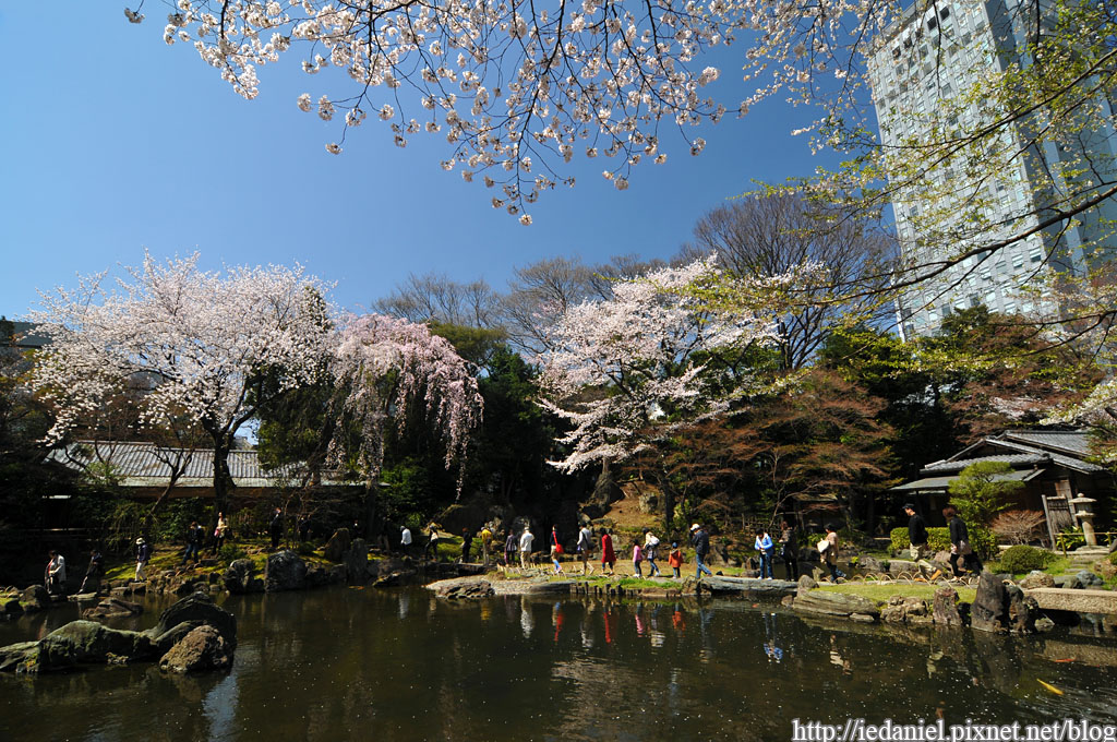 DSC_3905 DSC_3905