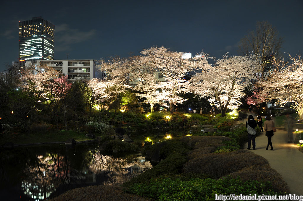 DSC_3462 DSC_3462