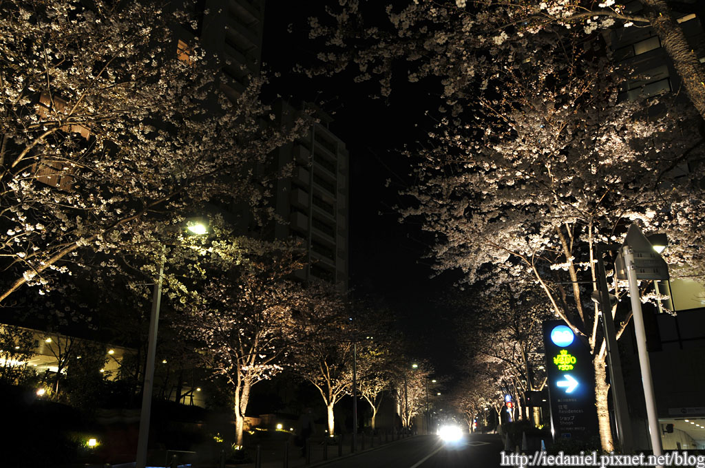 DSC_3481 DSC_3481