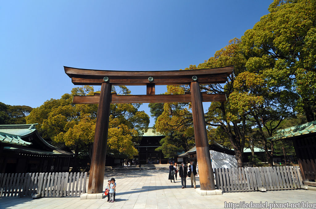 DSC_5373 DSC_5373