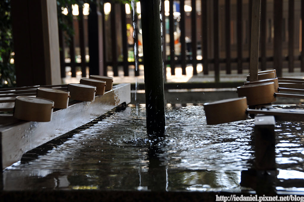 DSC_5411 DSC_5411