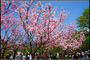 DSC_0345.jpg DSC_0345.jpg