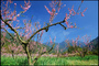 DSC_0040.jpg DSC_0040.jpg