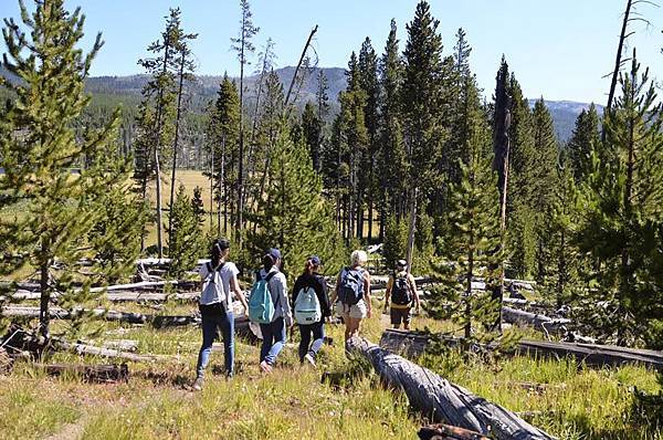 Yellowstone National Park_曾婉綸(1)I%5Cve been very lucky to spend summer here. It%5Cs an unforgettable experience!-7.jpg