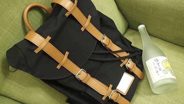 Gaston Luga背包形象2.JPG