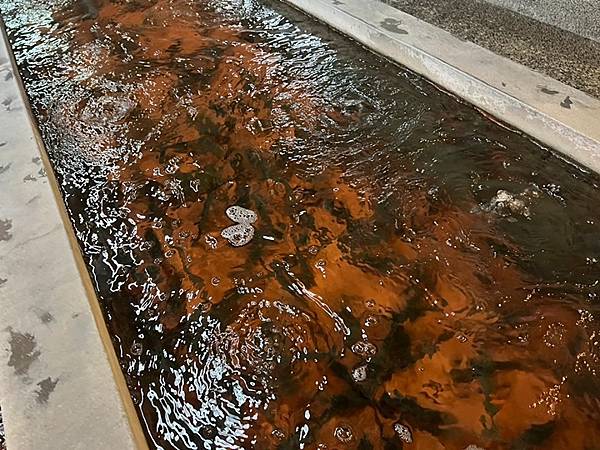 新竹聚餐餐廳-黃金海岸活蝦之家 新竹聚餐餐廳-黃金海岸活蝦之家