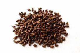 信合美眼科食補3 信合美眼科食補3