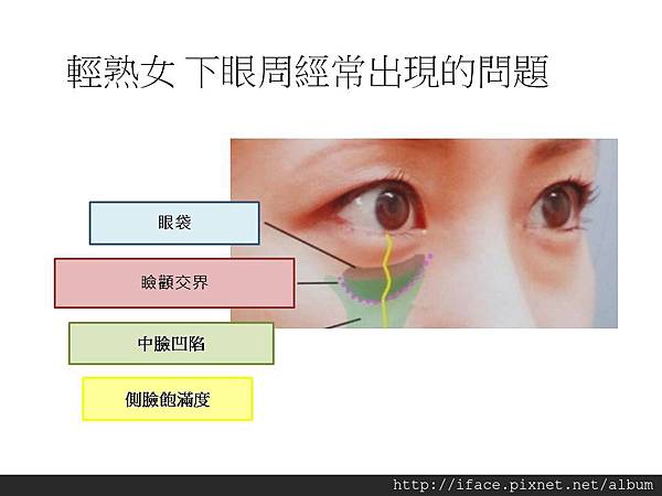 投影片2 投影片2
