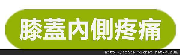 膝關節疼痛 修復膝關節與韌帶疼痛(免開刀,PRP治療失敗),