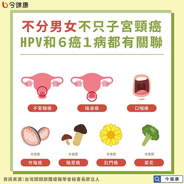 Hpv 病毒