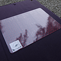 DSC08565.png