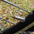 IMGP6601.JPG