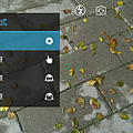 031.png