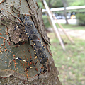IMG_20150901_150540.png