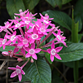 IMG_20150901_151541.png
